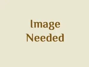 Beauty, Youth, Time and Death by Herbert Ashwin Budd, Image Needed